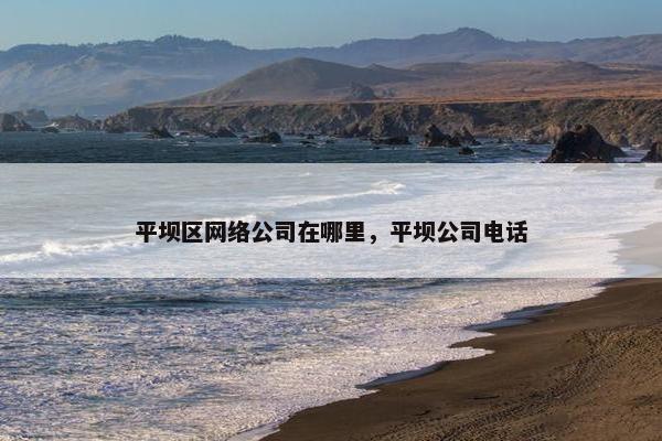 平坝区网络公司在哪里，平坝公司电话