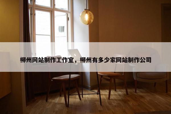 柳州网站制作工作室，柳州有多少家网站制作公司