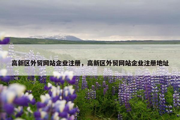 高新区外贸网站企业注册，高新区外贸网站企业注册地址
