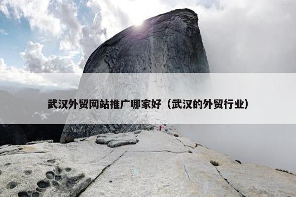 武汉外贸网站推广哪家好（武汉的外贸行业）