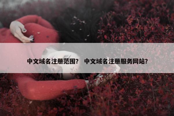 中文域名注册范围？ 中文域名注册服务网站？