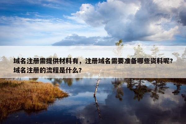 域名注册需提供材料有，注册域名需要准备哪些资料呢?域名注册的流程是什么?