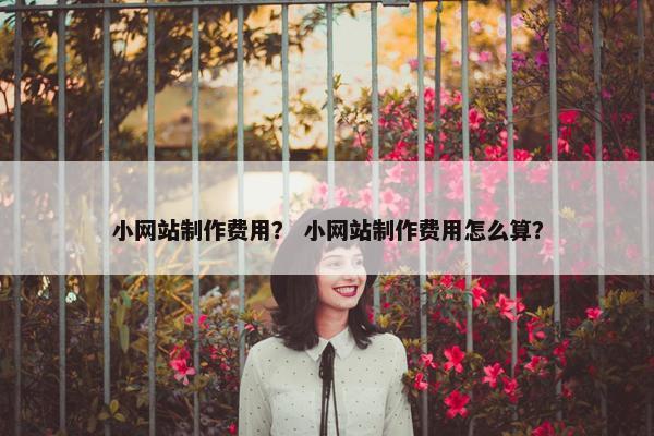 小网站制作费用？ 小网站制作费用怎么算？