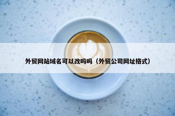 外贸网站域名可以改吗吗（外贸公司网址格式）