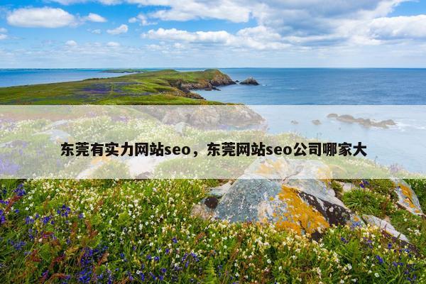 东莞有实力网站seo，东莞网站seo公司哪家大
