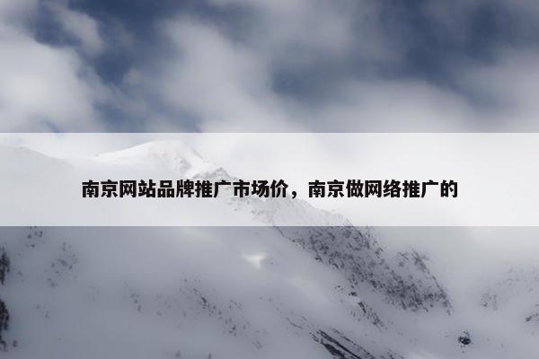 南京网站品牌推广市场价，南京做网络推广的