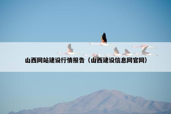 山西网站建设行情报告（山西建设信息网官网）