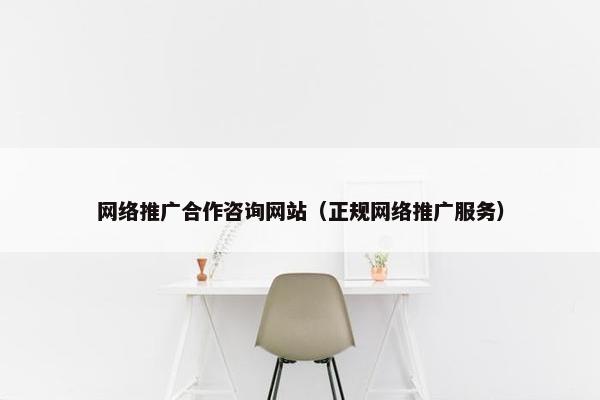 网络推广合作咨询网站（正规网络推广服务）