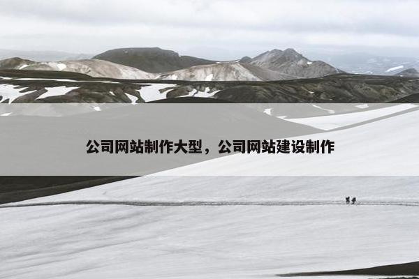 公司网站制作大型，公司网站建设制作