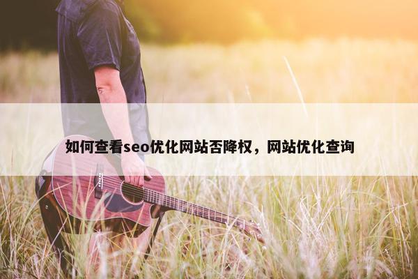 如何查看seo优化网站否降权，网站优化查询