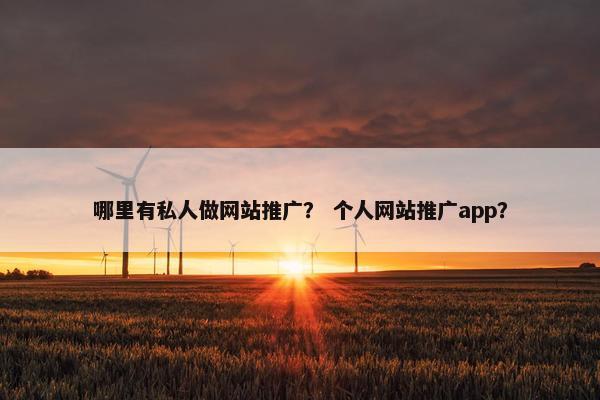 哪里有私人做网站推广？ 个人网站推广app？