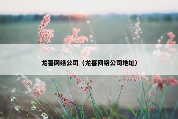龙喜网络公司（龙喜网络公司地址）