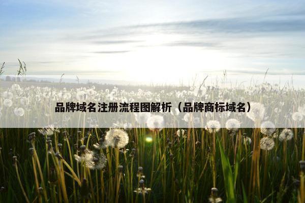 品牌域名注册流程图解析（品牌商标域名）