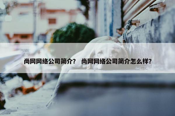 尚网网络公司简介？ 尚网网络公司简介怎么样？