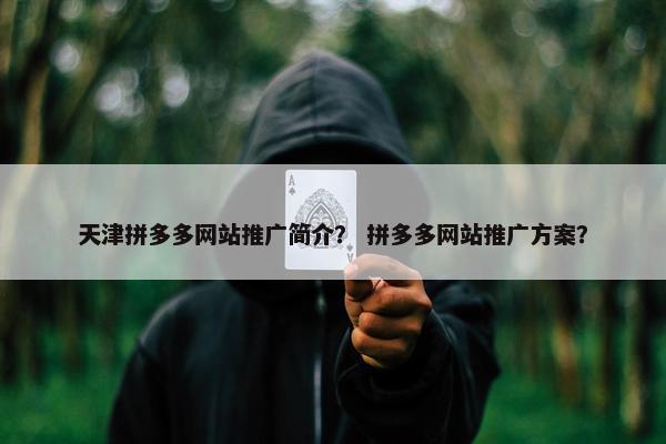 天津拼多多网站推广简介？ 拼多多网站推广方案？