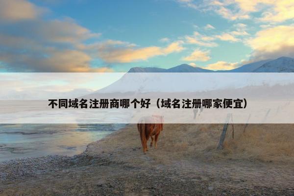 不同域名注册商哪个好（域名注册哪家便宜）