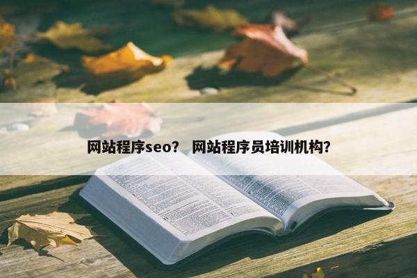 网站程序seo？ 网站程序员培训机构？