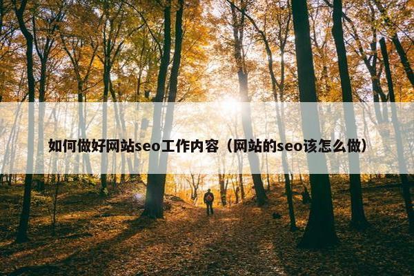 如何做好网站seo工作内容（网站的seo该怎么做）