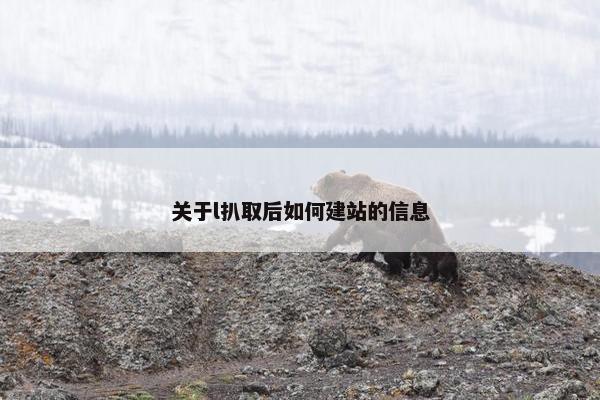 关于l扒取后如何建站的信息