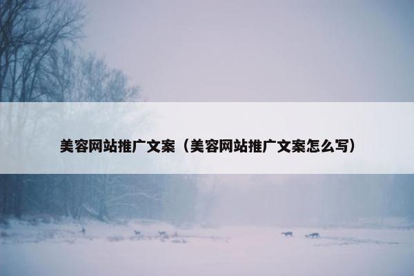 美容网站推广文案（美容网站推广文案怎么写）