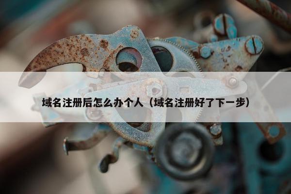 域名注册后怎么办个人（域名注册好了下一步）