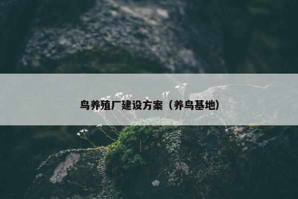 鸟养殖厂建设方案（养鸟基地）