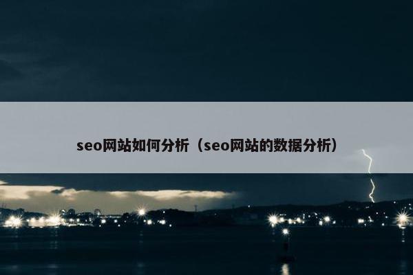 seo网站如何分析（seo网站的数据分析）