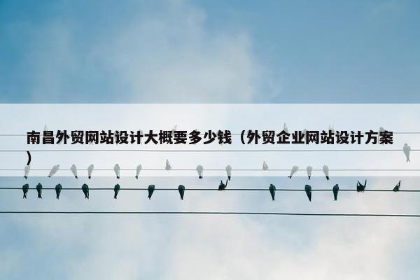 南昌外贸网站设计大概要多少钱（外贸企业网站设计方案）
