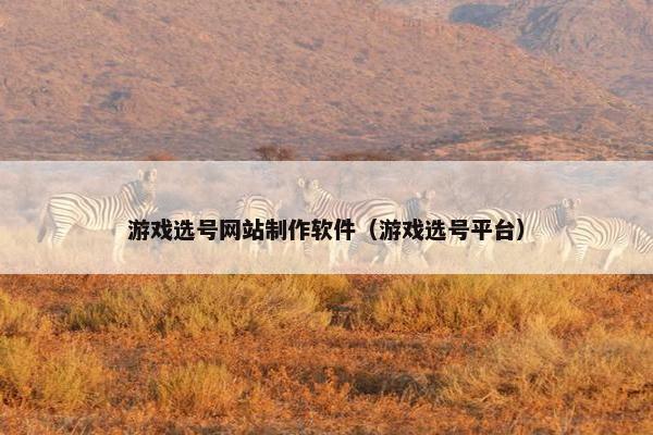 游戏选号网站制作软件（游戏选号平台）