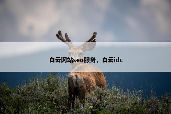 白云网站seo服务，白云idc