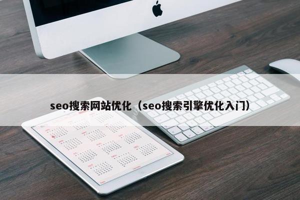 seo搜索网站优化（seo搜索引擎优化入门）