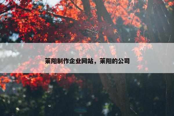 莱阳制作企业网站，莱阳的公司