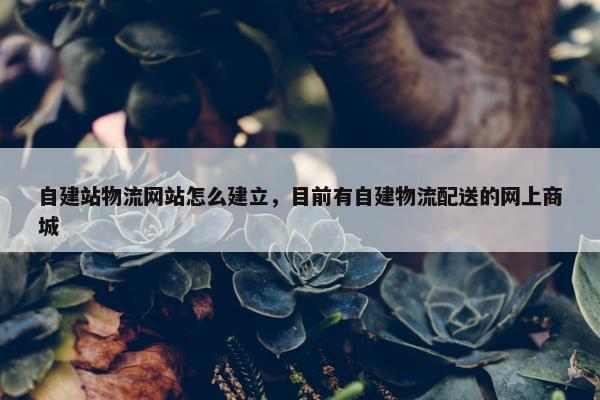 自建站物流网站怎么建立，目前有自建物流配送的网上商城