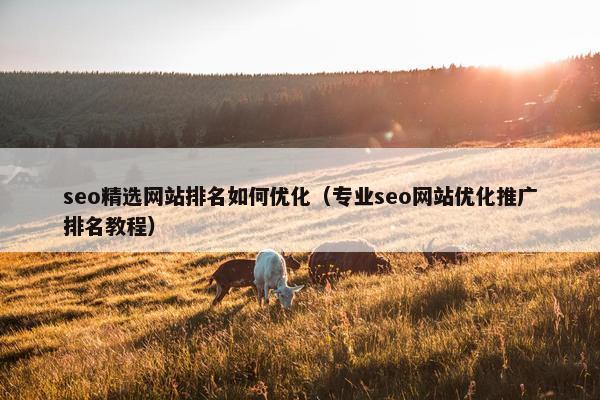 seo精选网站排名如何优化（专业seo网站优化推广排名教程）