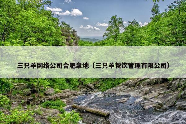 三只羊网络公司合肥拿地（三只羊餐饮管理有限公司）