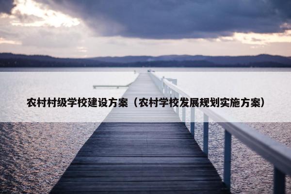 农村村级学校建设方案（农村学校发展规划实施方案）