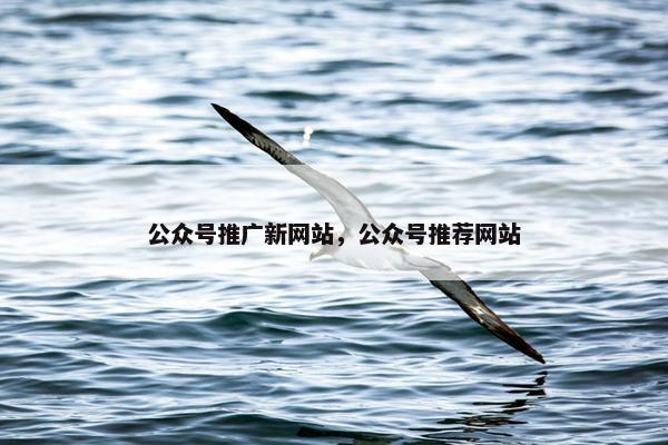 公众号推广新网站，公众号推荐网站
