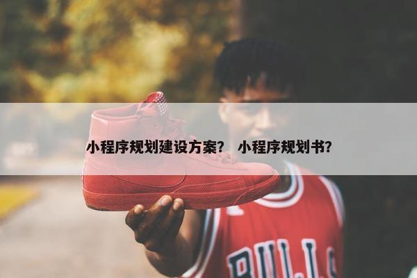 小程序规划建设方案？ 小程序规划书？
