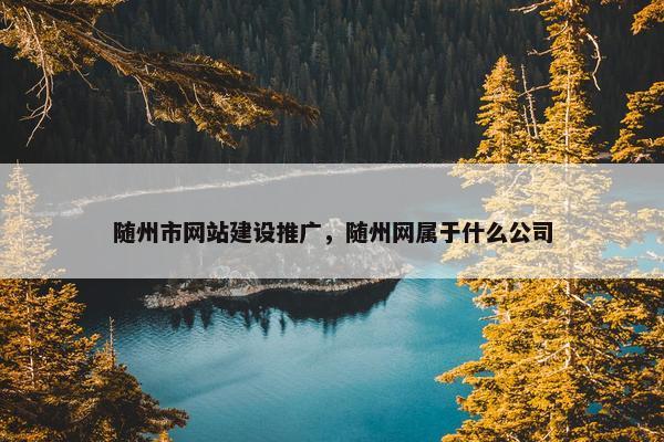 随州市网站建设推广，随州网属于什么公司