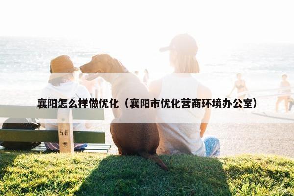 襄阳怎么样做优化（襄阳市优化营商环境办公室）
