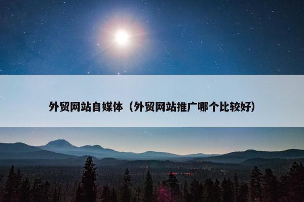 外贸网站自媒体（外贸网站推广哪个比较好）