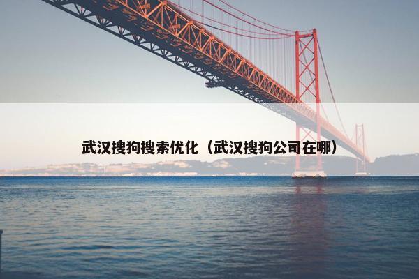 武汉搜狗搜索优化（武汉搜狗公司在哪）