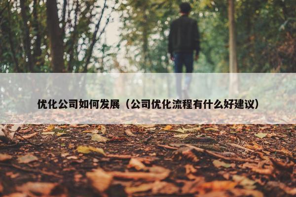 优化公司如何发展（公司优化流程有什么好建议）