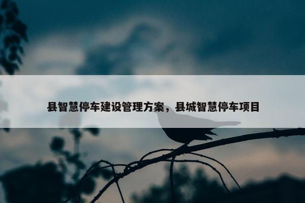 县智慧停车建设管理方案，县城智慧停车项目