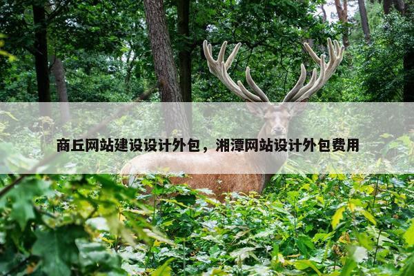 商丘网站建设设计外包，湘潭网站设计外包费用