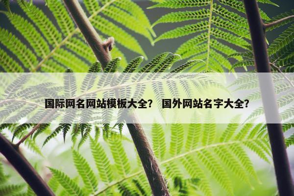 国际网名网站模板大全？ 国外网站名字大全？