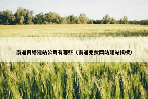 南通网络建站公司有哪些（南通免费网站建站模板）