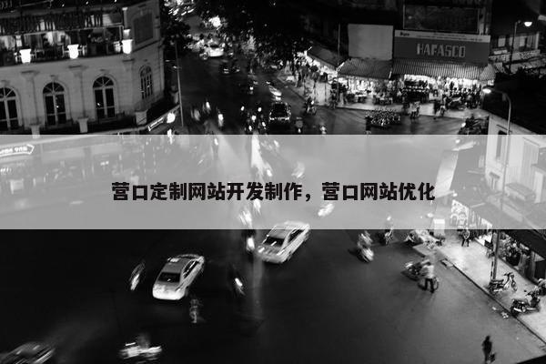 营口定制网站开发制作，营口网站优化