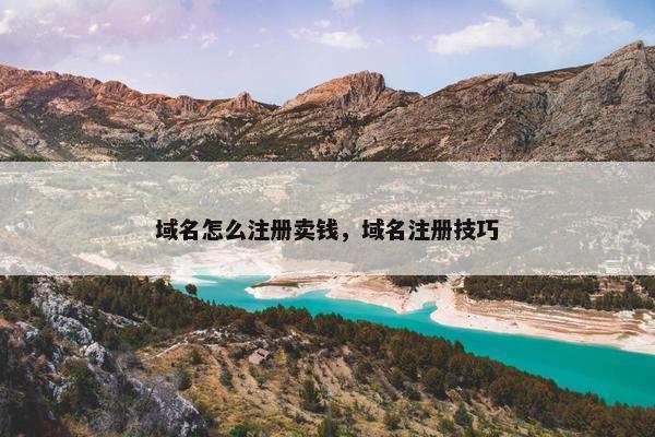 域名怎么注册卖钱，域名注册技巧
