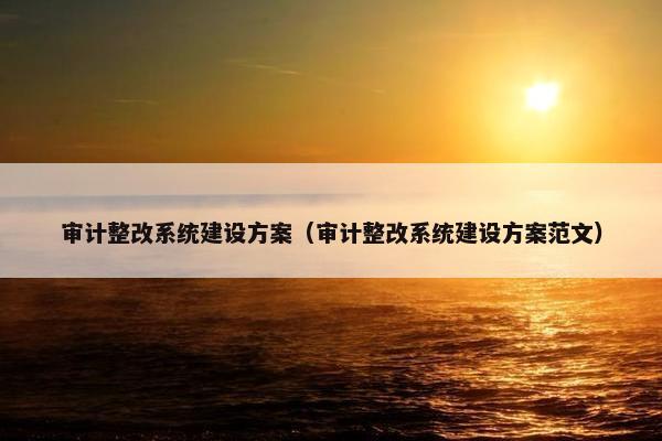审计整改系统建设方案（审计整改系统建设方案范文）